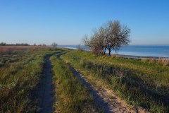 В ягорлицькому заказнику. Фото: Wereskowa, CC-BY-SA-4.0-