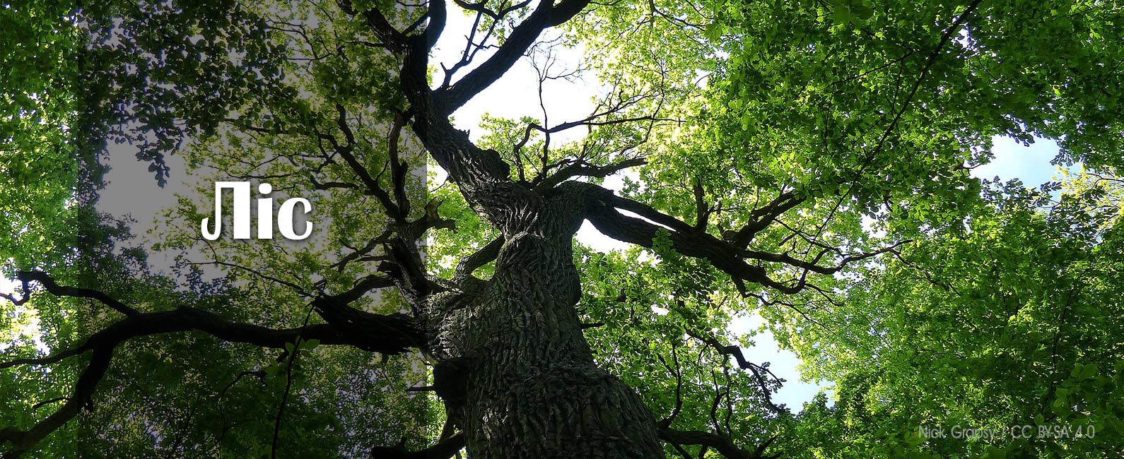 slider two lis